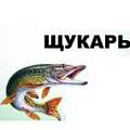 Мотобуксировщики Щукарь | Мототека