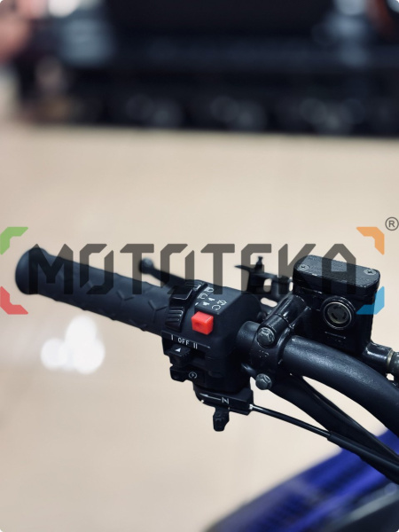 Снегоход IRBIS (Ирбис) TUNGUS (Тунгус) 400 2024 чёрный/синий с ПСМ | Мототека